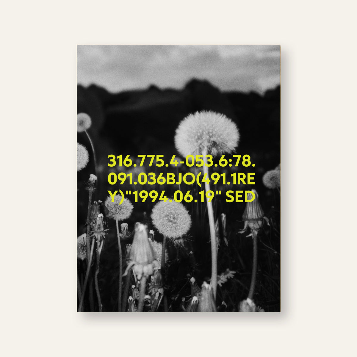 316.775.4-053.6:78.091.036BJO(491.1REY)