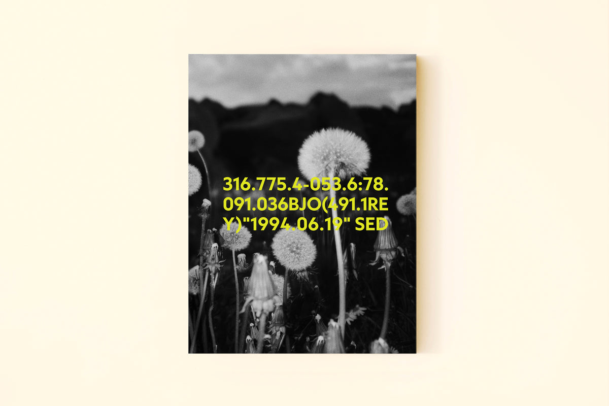 316.775.4-053.6:78.091.036BJO(491.1REY)"1994.06.19” SED